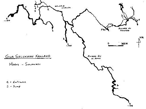 Gua Salukang Kallong