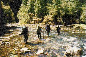 River crossings Nettlebed cave, Nelson