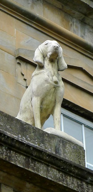 Baskerville hound