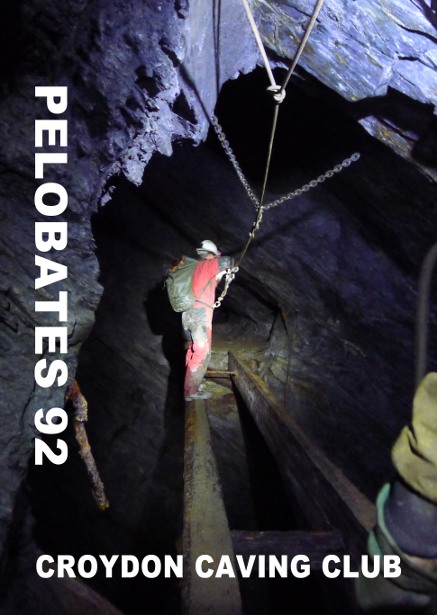 Pelobates 92
