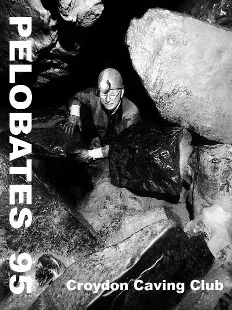 Pelobates 95