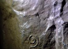 fossil